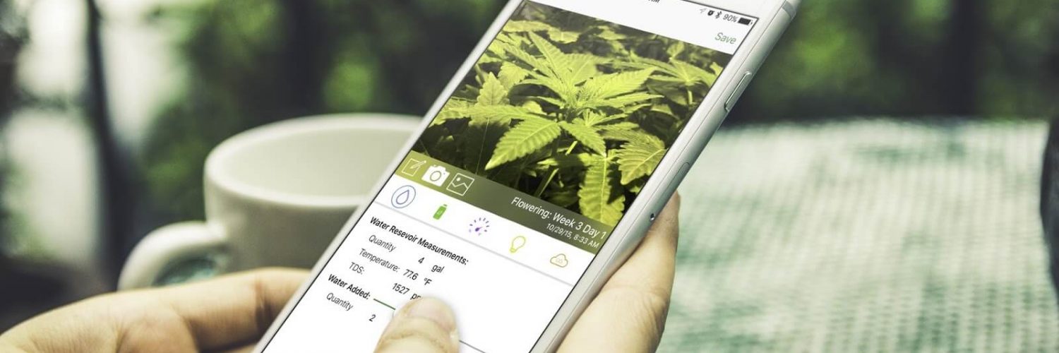 marijuana in the Google Play Store